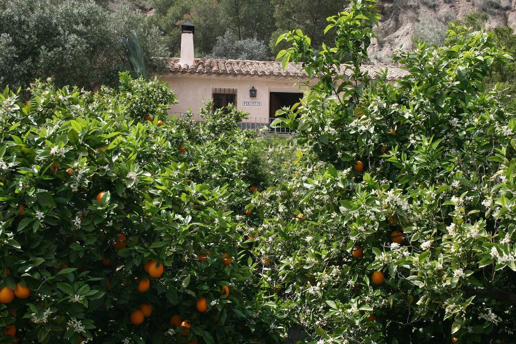 Casica De Perintin Cottage Ricote Extérieur photo